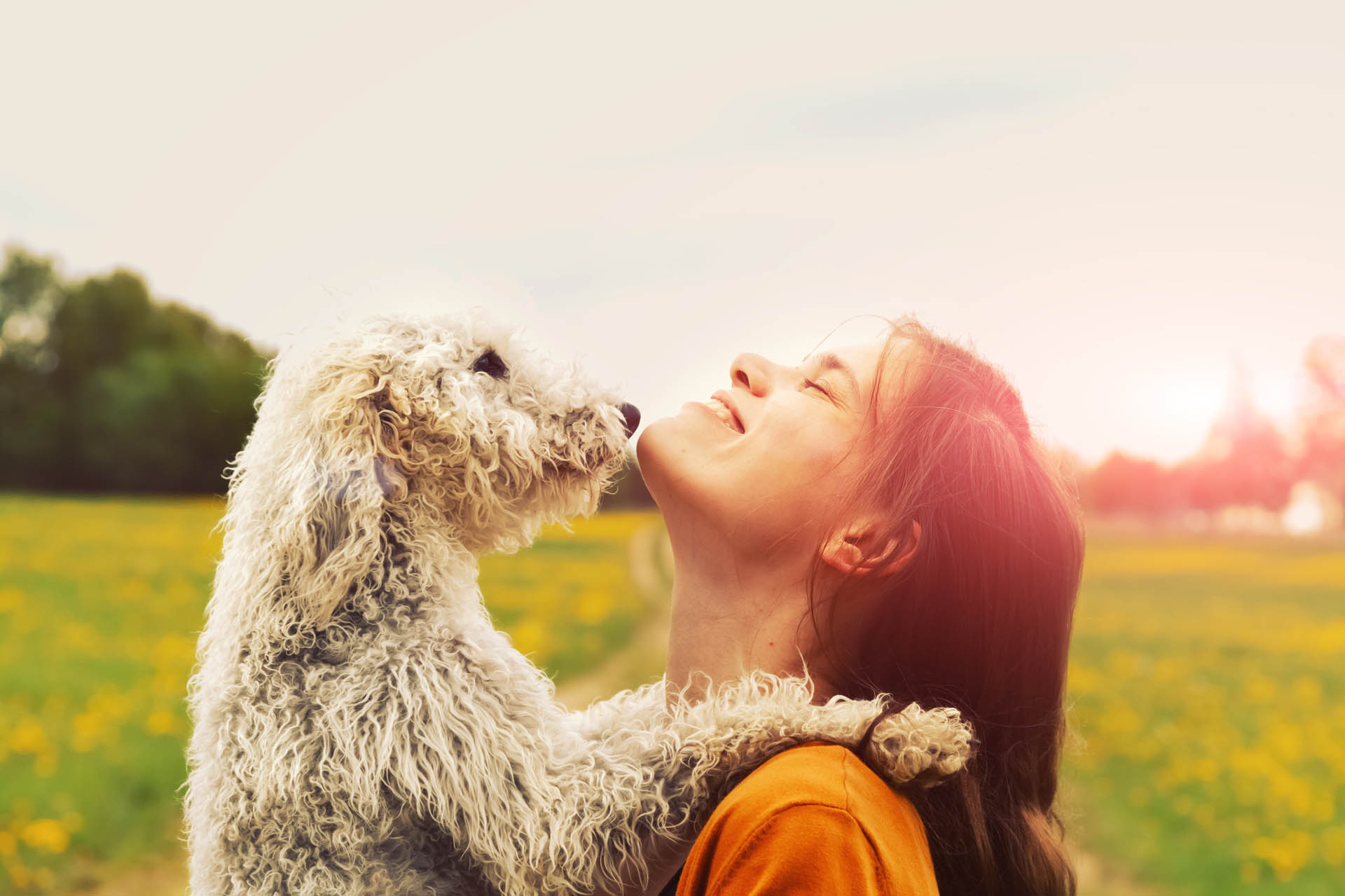 Veterinarian in Waxhaw, NC
